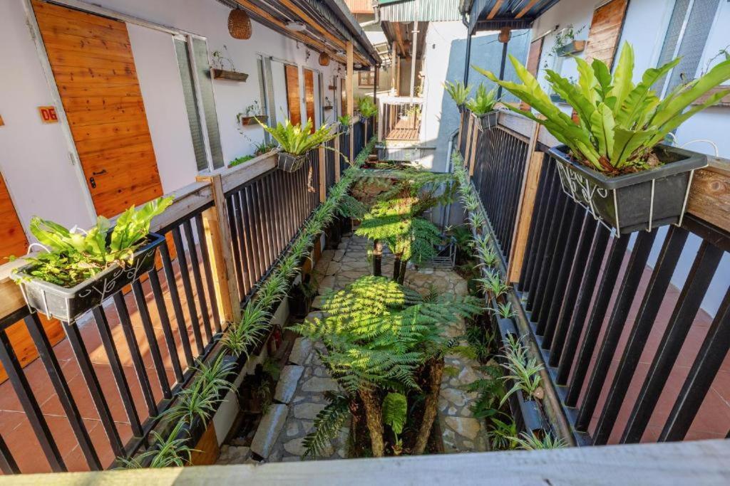 Отель Hillside Sapa Экстерьер фото